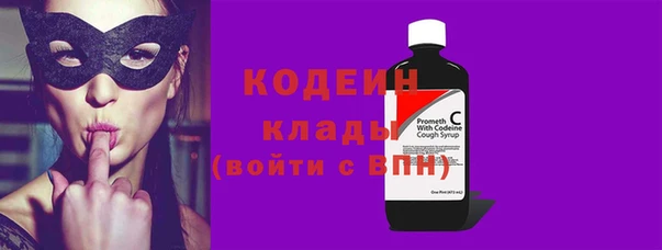 крисы Абаза
